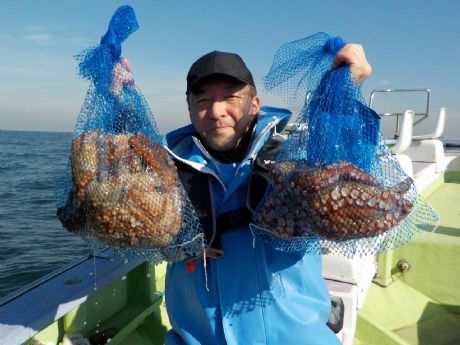 PP/QSijłP.X܂ނVtQbgE삳