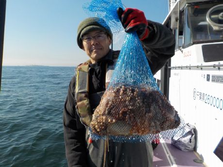 PP/QSijP.W܂ނWtQbgE