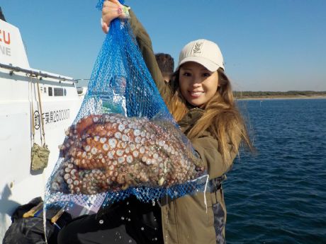 PP/QUijP.V܂ނUtQbgE