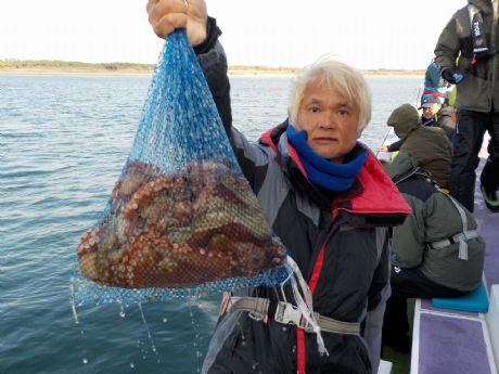 PP/QVi؁j̊ԂłUtQbgEgV