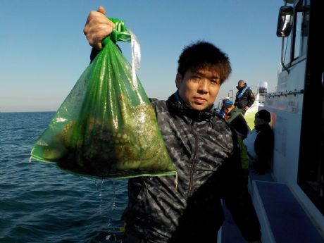 PP/ROij̊ԂłTtQbgEт