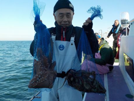 PP/ROijQ.P܂ނStQbgE؂