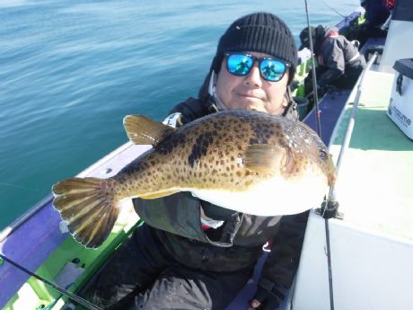 �P/�P�S�i���j�R�T�����̃A�J���܂ނP�Q���Q�b�g�E��������