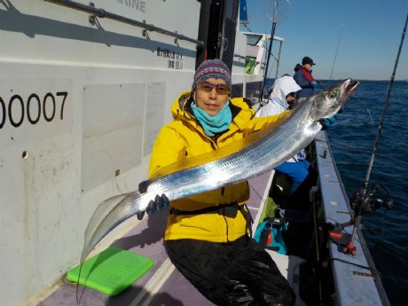 �P/�P�Q�i���j�P�R�P�����ƂP�Q�P�����܂ނP�Q�{�Q�b�g�E���c����