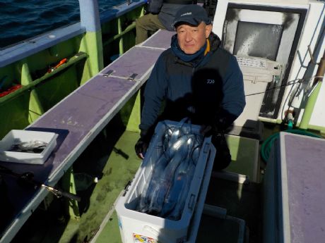 �P/�P�Q�i���j�Q�W�{�Q�b�g�E�L�삳��