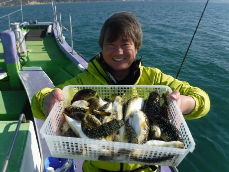 �P/�P�U�i���j�務�̂R�S���Q�b�g�E���V����