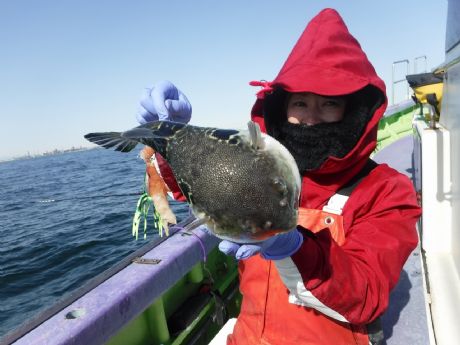 �P/�Q�U�i���j�Q���Q�b�g�E���{����i�����j