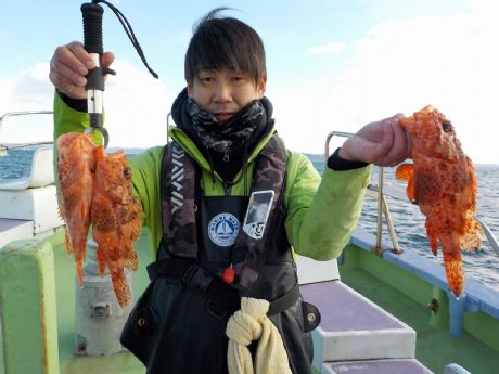 �P/�Q�T�i���j�R���Q�b�g�E�V�䂳��