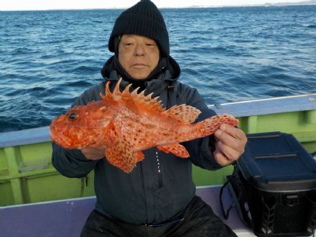 �P/�Q�T�i���j�R�X.�T�����Q�b�g�E��������