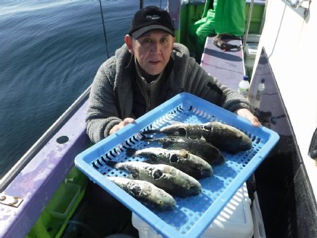 �Q/�P�i���j�T���Q�b�g�E�R�c����