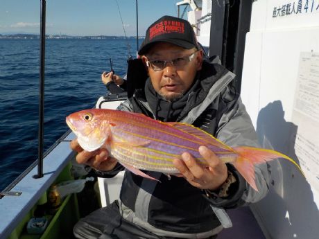 �Q/�P�i���j�S�S�����̃W�����{�C�g�����Q�b�g�E��؂���