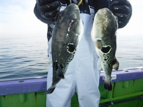 �Q/�U�i���j�Q���Q�b�g�E������]����