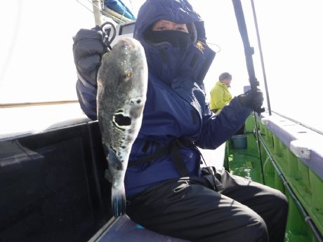 �Q/�U�i���j�M�d�ȂP���Q�b�g�E���؂���i�����j