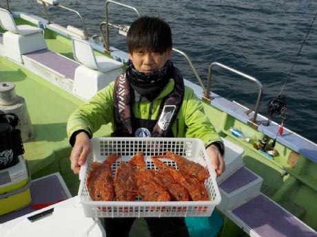 �Q/�P�S�i�y�j�ǌ^�T���Ə��U��P���̌v�U���Q�b�g�E�V�䂳��