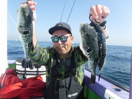 �Q/�P�T�i���j���|�T�C�Y�R���Q�b�g�E���V����