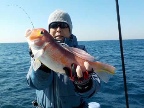 �Q/�Q�P�i�y�j�S�S�����܂ނQ���Q�b�g�E��������