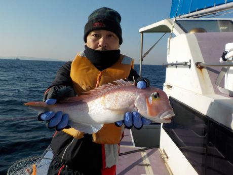 �Q/�Q�P�i�y�j�݂��Ƃŏ�����łS�R�����Q�b�g�E��������