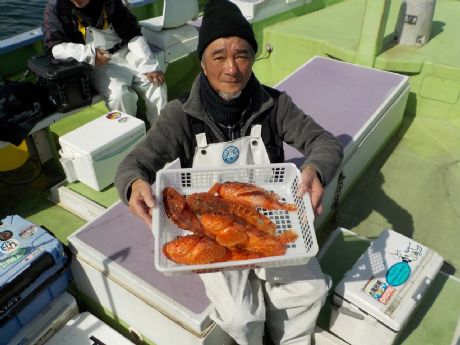 �Q/�Q�W�i�y�j�R�U�����܂ނT���Q�b�g�E�|������