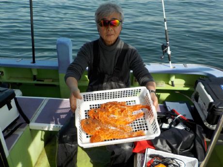 �Q/�Q�W�i�y�j�R�W�����E�R�T�����܂ނR���Q�b�g�E������