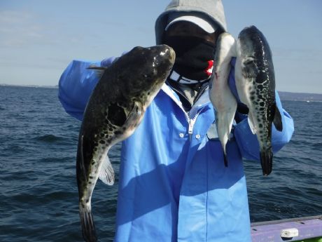 �R/�P�i���j�P.�R�����܂ނR���Q�b�g�E��������