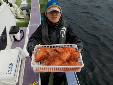 �R/�P�i���j�S�P�����܂ޗǌ^�U���Q�b�g�E�͌�����