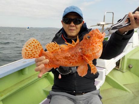 �R/�P�i���j�f�b�v���������S�O�����܂ނR���Q�b�g�E���䂳��