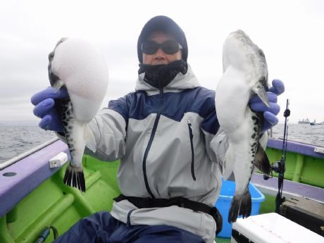 �R/�Q�i���j�P�����܂ނQ���Q�b�g�E�c糂���