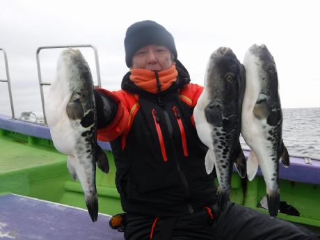 �R/�Q�i���j������łR���Q�b�g�E���삳��