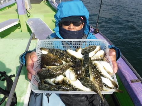 �P/�P�X�i���j�S�S���Q�b�g�E�ѓc����