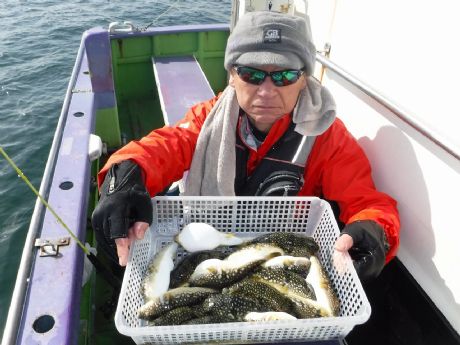 �P/�P�X�i���j�P�U���Q�b�g�E��؂���