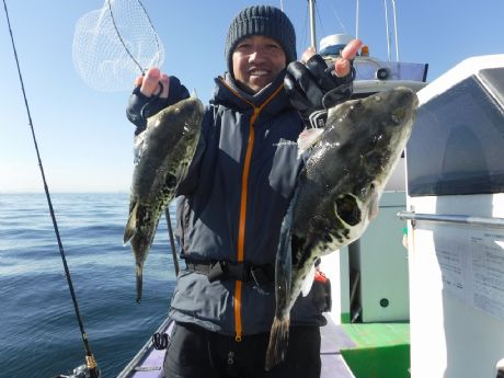 �Q/�P�i���j���q����̂P.�S�����܂ނQ���Q�b�g�E�֍�����