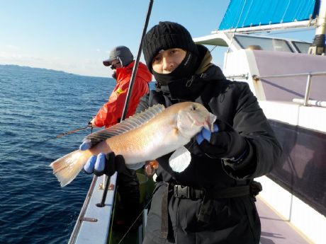 �Q/�P�i���j�S�Q�����̔��A�}�_�C�Q�b�g�E�؎R����