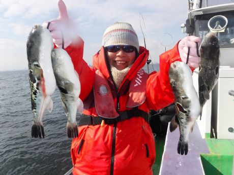 �Q/�P�Q�i�؁j�S���Q�b�g�E�R�c����i���l�j