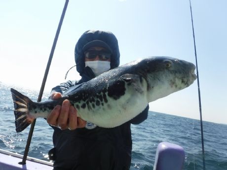 �R/�P�Q�i�؁j�R.�P�����܂ނQ���Q�b�g�E��������