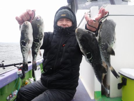 �R/�P�R�i���j�\���߂���S���Q�b�g�E�㓡����