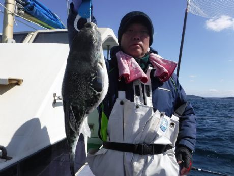 �R/�P�S�i�y�j�Q.�O�����Q�b�g�E�ԏ�����