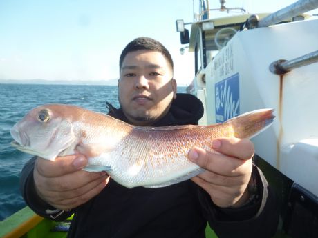 11月28日 ヽ(^。^)ノ