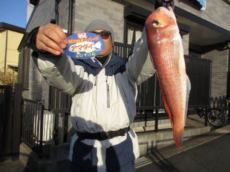 1月17日、51cmの特大アマダイ ヽ(^。^)ノ