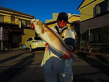 1月17日、48cmの大物白アマダイ ヽ(^o^)丿