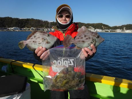 1/30☆大坪さん良型お土産 釣果17枚☆ヽ(^o^)