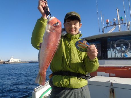 2��3���A53�����̓���A�}�_�C�@�R(^�B^)�m