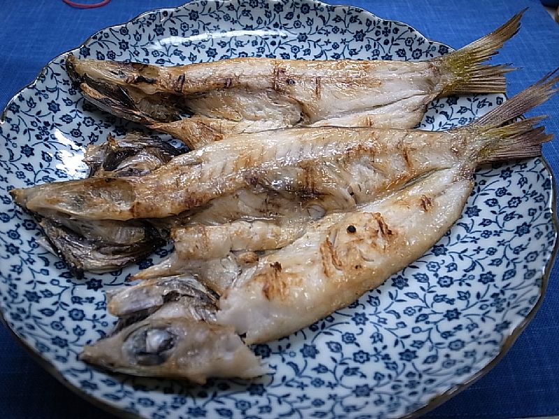ムツの一夜干し ピチット レシピ番号 228 船長と釣人の魚料理レシピ 関東沖釣り情報