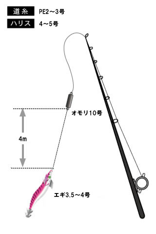 庄三郎丸 仕掛け図 アオリイカ 関東沖釣り情報