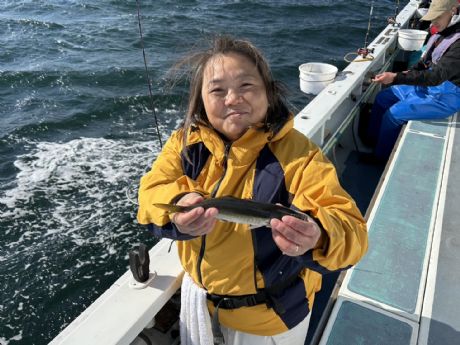 �Q�S���@���C�g�A�W�D�ɂā�