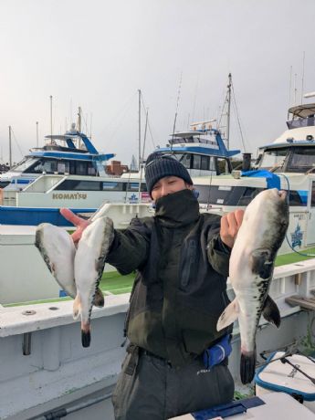 �Q�U���@�t�O�D�ɂā�