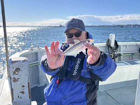 �Q�T���@���C�g�A�W�D�ɂā�