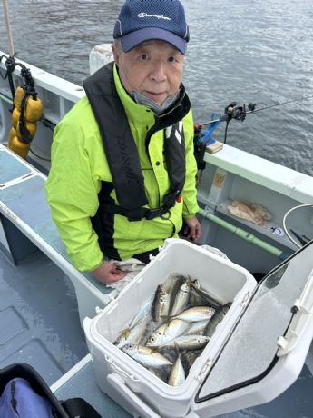 �U���@���C�g�A�W�D�ɂā�