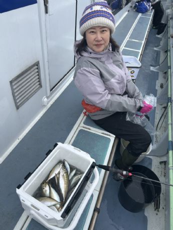 �U���@���C�g�A�W�D�ɂā�