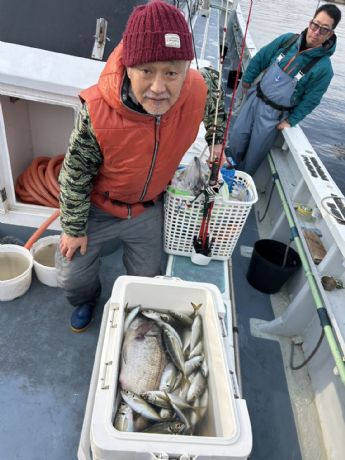 �X���@���C�g�A�W�D�ɂā�