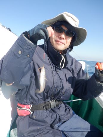 QOQTEPPEROEVMX捇ɂāEEE